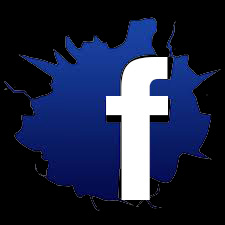 segui birra napoleon su facebook